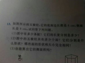 未來的校園作文500字五年級,未來的校園作文500字左右,未來的校園作文500字