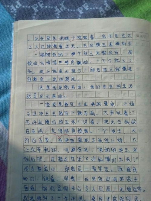 校園美景作文700字高一