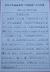 初中書香校園高中作文