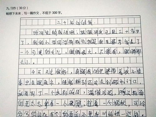 二十后的校園的作文400字