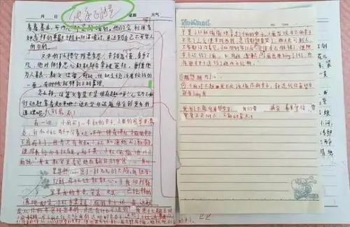 校園的四級作文批改評語