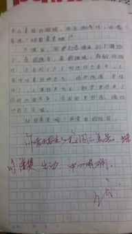 放學后的校園500字作文