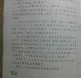 溫馨校園不了情作文500字