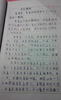 喜愛校園的作文400字左右作文