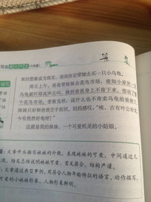 寫一件我校園里事情300字作文三級作文