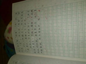 日記寫(xiě)校園一件事400字作文400字作文400字作文大全