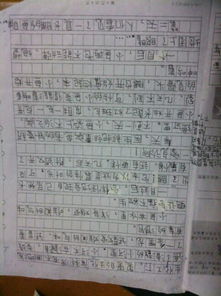 平安,作文,字左右,校園