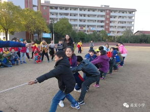 豐富多彩的校園生活四年級(jí)的作文,多彩的校園生活四年級(jí)作文,我們的校園生活四年級(jí)作文