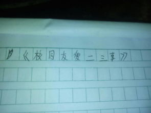 校園友愛的二三事作文600字