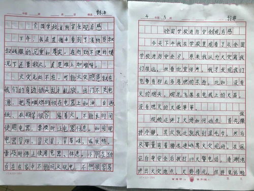 消防安全進(jìn)校園作文400字