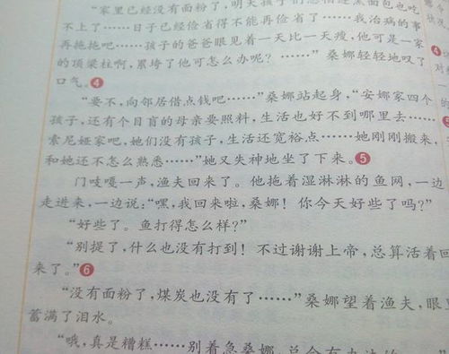 我們校園的柳樹500字作文怎么寫