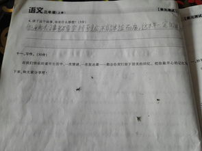 校園一角的作文150字三級