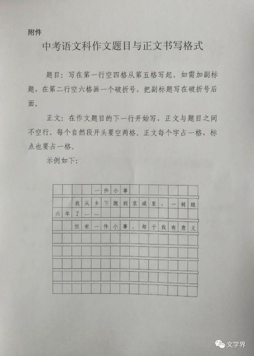 作文,中考,校園