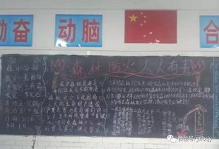 作文,防火,森林防火,校園