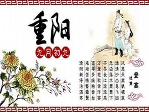 作文有趣校園節(jié)日活動(dòng)方案