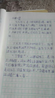 誠(chéng)信教育進(jìn)校園作文1000字