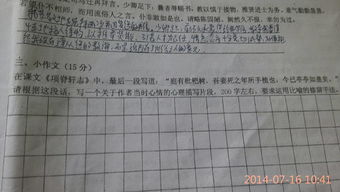 關于校園的小作文200字