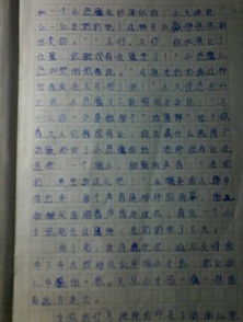 校園里的感動(dòng)作文400字左右