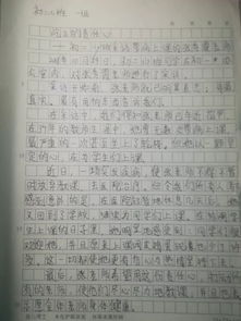 初二語文新聞作文校園發(fā)生的事