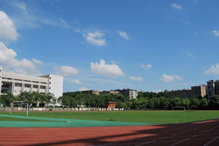 祿豐城南小學校園風景介紹作文