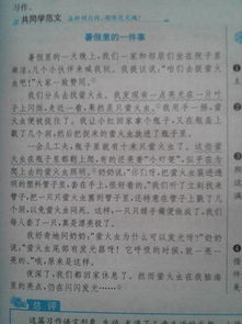 校園新聞報道作文600字,校園新聞報道作文600字初二,校園欺凌新聞報道作文