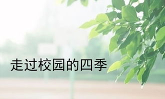 描寫校園四季的作文400字,寫校園四季的作文300字,寫校園四季的作文600字