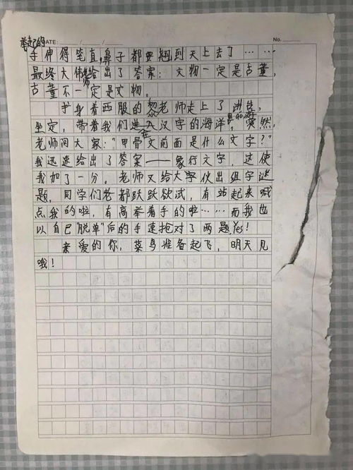 小小講解員介紹校園作文,小小講解員介紹校園作文200字,寫我是小小講解員的作文