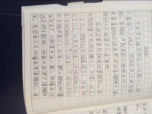 愛護校園環(huán)境作文400字左右,愛護校園的一草一木作文400字,愛護校園從我做起作文400字