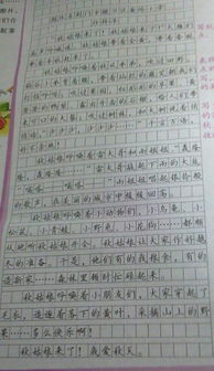 秋天作文600字作文大全校園