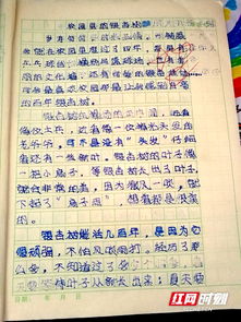 我的校園作文250字四級(jí)作文大全