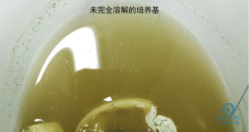 培養(yǎng)基滅菌要注意事項(xiàng)