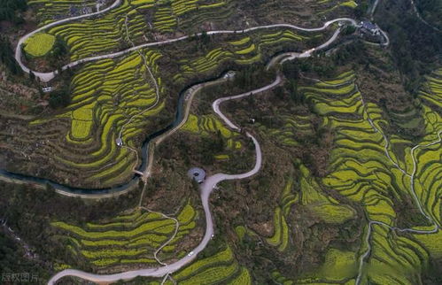 冬季畢棚溝旅游注意事項(xiàng),冬季峨眉山旅游注意事項(xiàng),東北冬季旅游注意事項(xiàng)