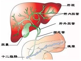 陰囊結(jié)石飲食注意事項