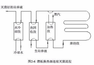 培養(yǎng)基,滅菌,要注意,事項(xiàng)