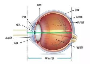 a超測(cè)眼軸注意事項(xiàng)