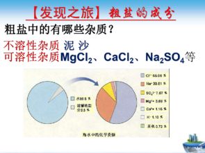 提純,注意事項(xiàng),化學(xué)