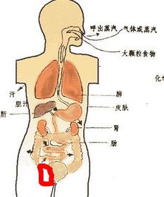 肺部有大泡應(yīng)該注意什么,小氣泡注意事項(xiàng),小氣泡做完后注意事項(xiàng)