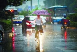 臺風(fēng)暴雨天氣安全注意事項,臺風(fēng)暴雨天氣行車注意事項,臺風(fēng)天氣安全注意事項