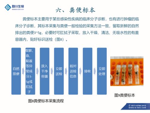 制作過程,注意事項