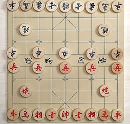 中國象棋,注意事項