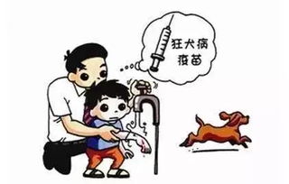 狂犬,注意事項,病疫苗