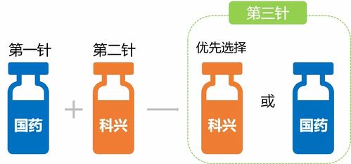 動物免疫接種的方法及注意事項,免疫接種的注意事項,簡述免疫接種的注意事項