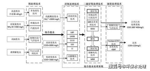 工藝流程,月餅,要點(diǎn),注意事項(xiàng)