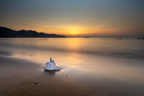 關(guān)于谷雨的詩歌