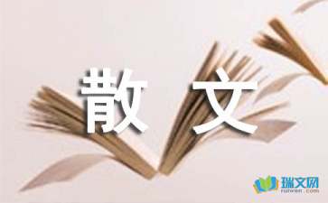 經(jīng)典散文：給悟文同修一封信