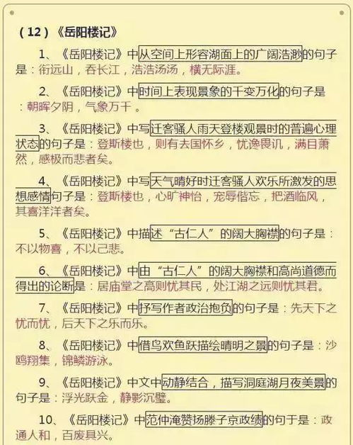 語文的課外基礎(chǔ)知識初中的