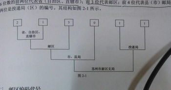 三級數(shù)字編碼基礎(chǔ)知識