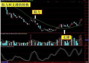 劉博倫均線基礎(chǔ)知識(shí)