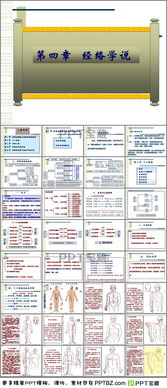 中醫(yī)基礎(chǔ)理論知識經(jīng)絡(luò)ppt