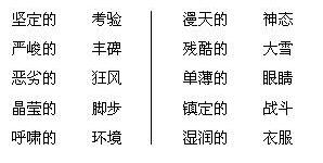 基礎(chǔ)知識詞語